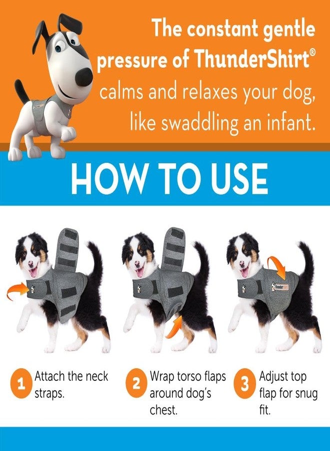 ثاندر شيرت قميص ثاندر شيرت للكلاب، صغير، رمادي فاتح كلاسيكي - سترة مهدئة لتخفيف قلق الكلاب - Image 5